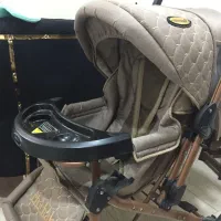 کالسکه دلیجان بدنه بنیتا طرح چیچک