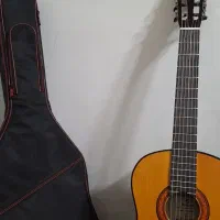 گیتار|گیتار، بیس، امپلیفایر|زنجان, |دیوار