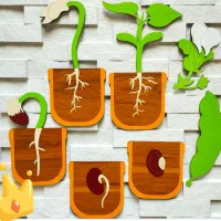 محصولات چوبی پک های آموزشی ویژه مربیان|لوازم التحریر|برازجان, |دیوار