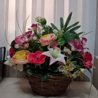 گل رومیزی  نو