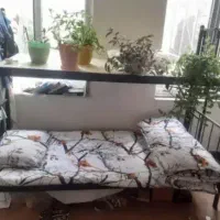 خوابگاه دانشجویی و کارمندی دخترانه