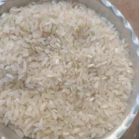 فروش برنج وخورده برنج|خوردنی و آشامیدنی|شیراز, امام حسین|دیوار