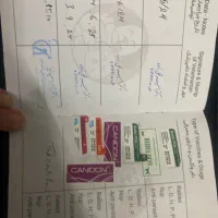 گربه پرشین|گربه|همدان, |دیوار