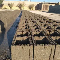 بلوک زنی ایمن