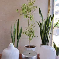 لامپ ال ای دی کیسه ای فله|لامپ و چراغ|فردیس, شهرک شهید حسینی|دیوار