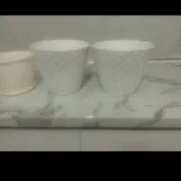 گلدان پلاستیکی|گل و گیاه طبیعی|بهارستان, |دیوار