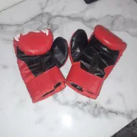 دستکش ووشو وبوکس|تجهیزات ورزشی|دورود, |دیوار