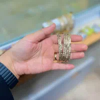 بدلیجات|بدلیجات|ارومیه, |دیوار