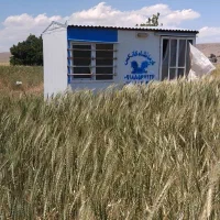 کانکس نو نو ۶متری