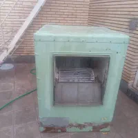 کولرابی