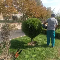 خدمات باغبانی و فضای سبز|خدمات باغبانی و درختکاری|قدس, شهر‌قدس|دیوار