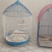 5عدد قفس پرنده