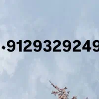 09129