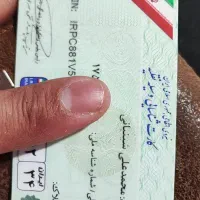 کیف مدارک بنام محمدعلی شینیانی