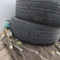 لاستیک ال نود