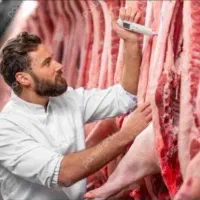 گوسفند زنده وقصاب|حیوانات مزرعه|پاکدشت, پاکدشت (مامازند)|دیوار