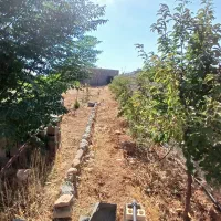 فروش یا معاوضه باغشهری|فروش زمین و ملک کلنگی|شیراز, حومه شیراز|دیوار