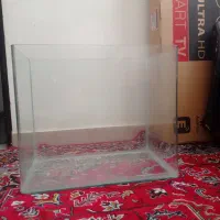 آکواریوم شیشه خم کارخونه ای|ماهی|قائن, |دیوار