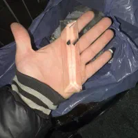 دونه لوستر نو