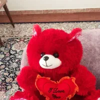 عروسک خرسی