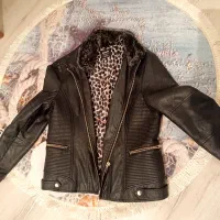 پالتو ، کاپشن، کت|لباس|ماکو, |دیوار