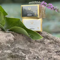 کرم های ۱۰کاره|آرایشی، بهداشتی، درمانی|رشت, منظریه|دیوار