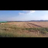 زمین کشاورزی|فروش دفتر صنعتی، کشاورزی، تجاری|سپیدان, |دیوار