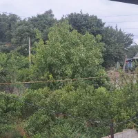 اجاره سوئیت روزانه