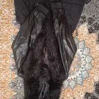 نو هستش خز دار|لباس|پیشوا, |دیوار