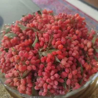 زرشک تازه