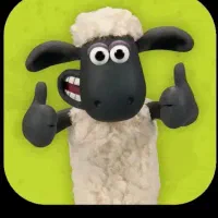 دو عد د بره نر ۶۴۰