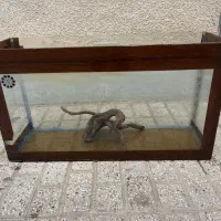 اکواریوم ماهی ب همراه کلیه متعلقات