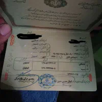 شناسنامه گمشده