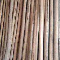 خرید و فروش چوب خشک