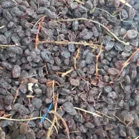 خرید و فروش کشمش