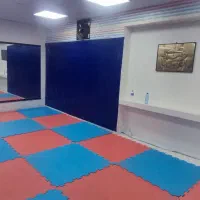 اجاره سانس سالن رزمی و ژیمناستیک|اجارهٔ کوتاهمدت دفتر کار و فضای آموزشی|همدان, |دیوار