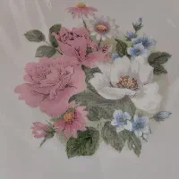 دو سرویس آکبند آرکوپال