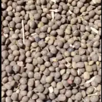 ۲تن ماشک (قارادانه یا سیاه دانه)