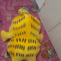 عروسک|اسباببازی|سبزوار, مدرس|دیوار