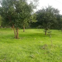 فروش زمین متانکلا ۱۸۱۰ متر