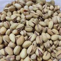 فروش فوری پسته درجه یک