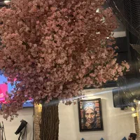 استخدام نیروی حرفه‌ای کافه رستوران