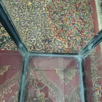 آکواریوم|ماهی|کرمان, |دیوار