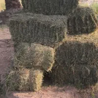 بیده پرس