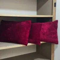 بالشت پَر