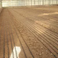 استخدام جهت کار در گلخانه