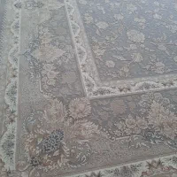 فرش نو|فرش|زنجان, |دیوار