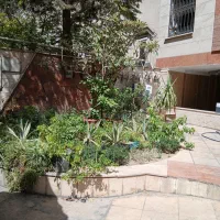 اجاره ۹۰ متر/ پارکینگ / اسانسور/ شریعتی/ کلیم|اجارهٔ آپارتمان|تهران, سهروردی|دیوار