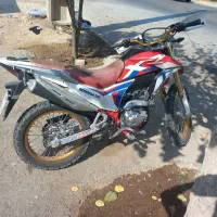 تریل برمودا