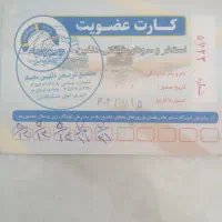 کارت استخر دلفین سفید